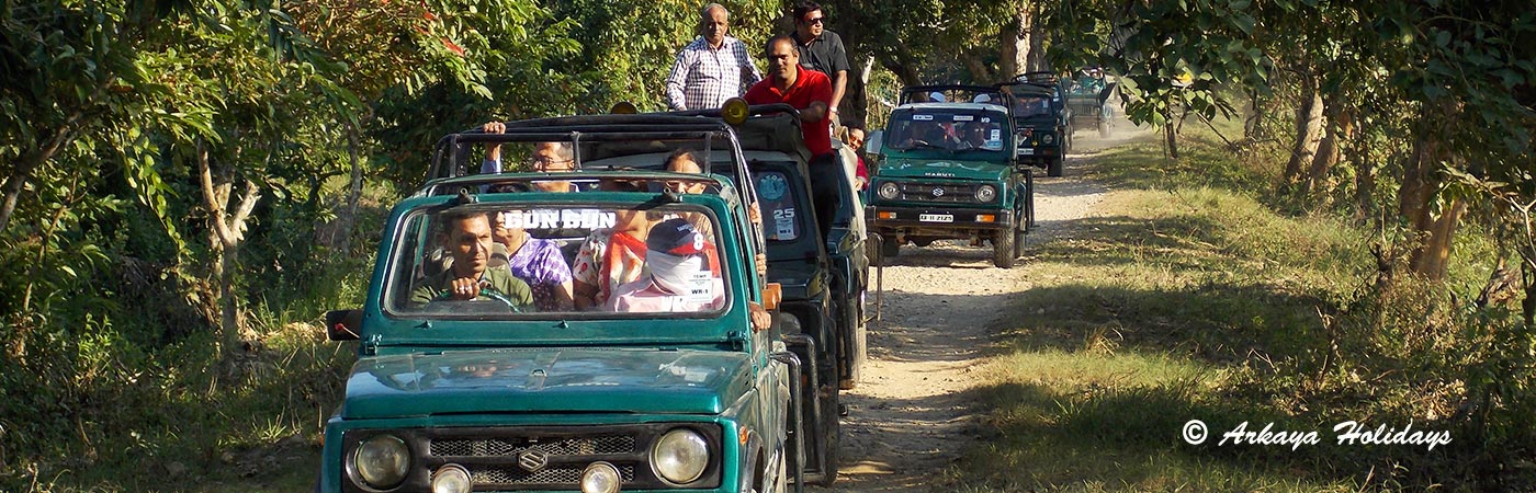 kaziranga tour package from kolkata